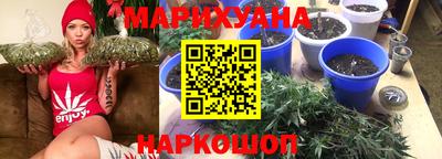 ALPHA PVP Гусев