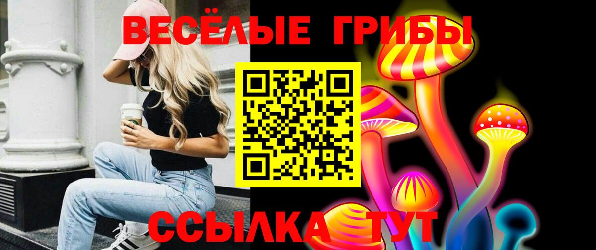 Минусинск  Псилоцибиновые грибы ЛСД  Вход с VPN 